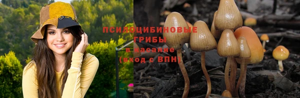 хмурый Переславль-Залесский