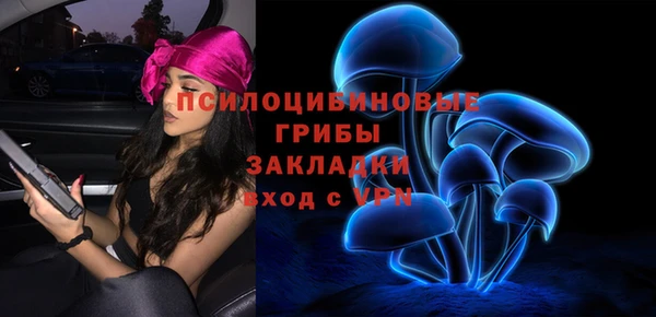 молекула духа Покачи