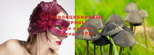 кокаин колумбия Пересвет