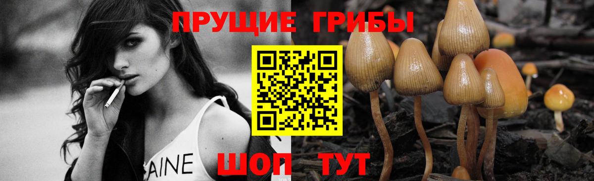 Ахтубинск  Галлюциногенные грибы Psilocybine cubensis  Вход с VPN 
